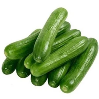 خیار درختی کیلویی
