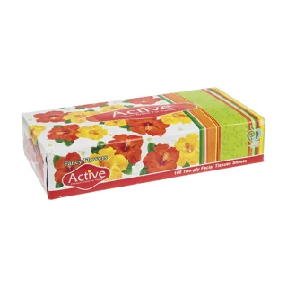 اکتیو دستمال کاغذی 100 برگ