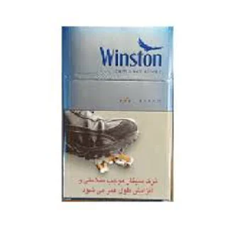 وینستون کامپکت نقره ای