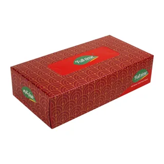 دستمال کاغذی فول تایم 100 برگ دولایه