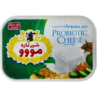 پنیر پروبیوتیک مووو ۴۰۰ گرم